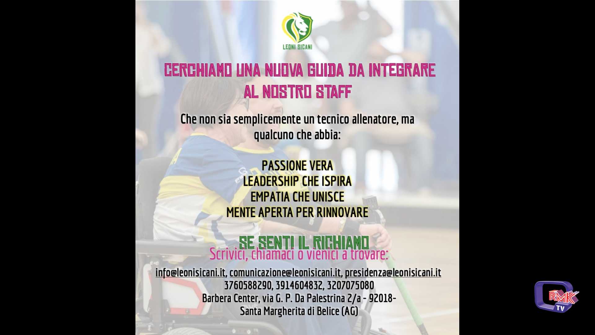 Sport. I Leoni Sicani alla ricerca di un nuovo allenatore 